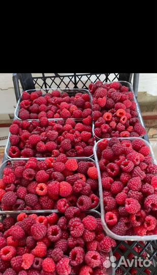 Малиновое варенье, облепиха из кбр опт