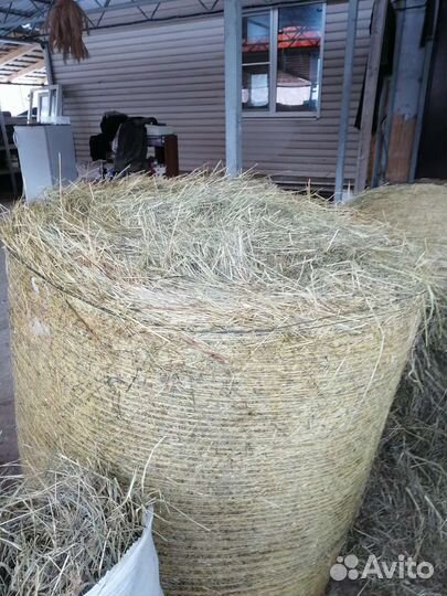 Сено луговое ароматное