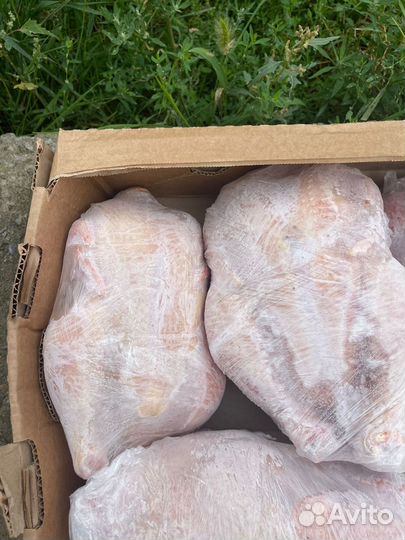 Цена реальная Бройлеры, Утята, гусята, курочки