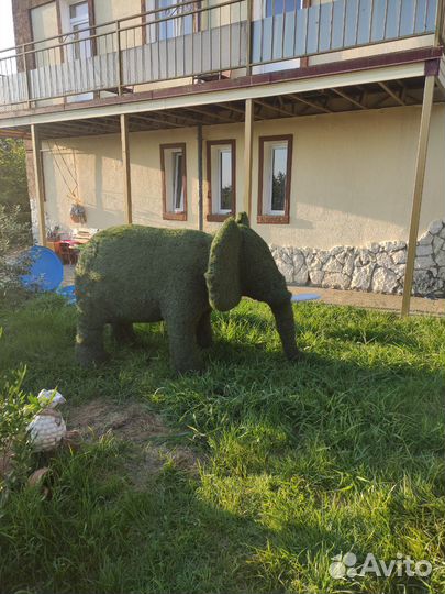 Топиари фигура Слон