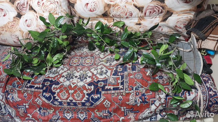 Цветы для декора