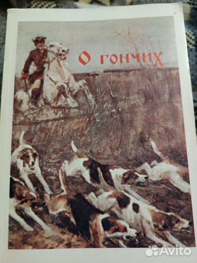 Гончие охотничьи собаки