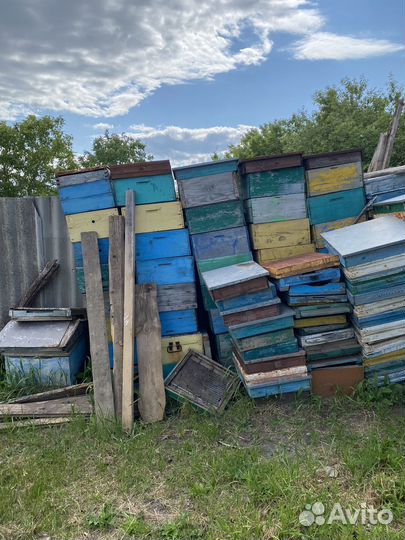 Все для пчеловодства