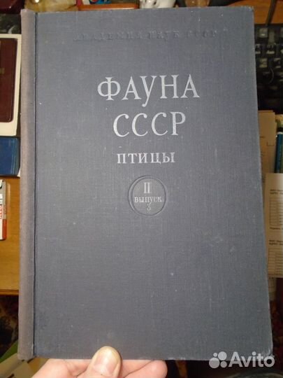 Козлова Е.В. Фауна СССР Птицы Чистиковые (1957)