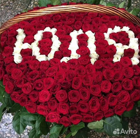 101 Роза Цветы Пионы