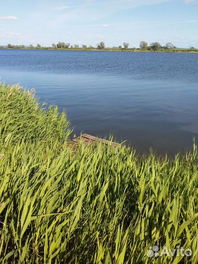 Приглашаем на рыбалку
