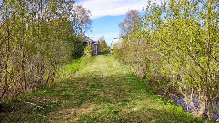 Участок 21,7 сот. (ИЖС)