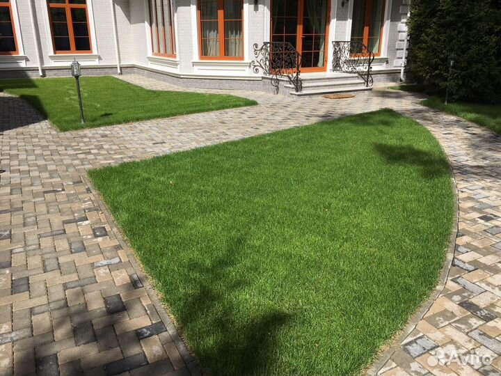 Рулонный газон