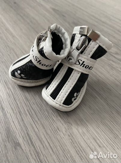 Обувь для животных