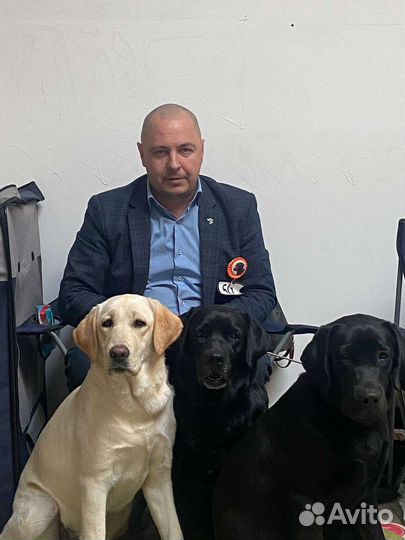 Инструктор кинолог- зоопсихолог