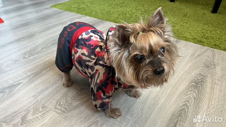 Комбенизон зимний для собаки