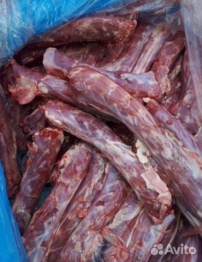 Мясо для собак Череповец