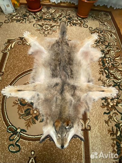Ковер из шкуры волка