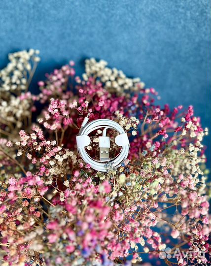 Зарядка для iPhone Lightning