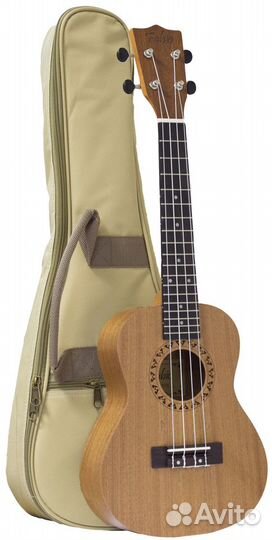 Новые гитары и гиталеле