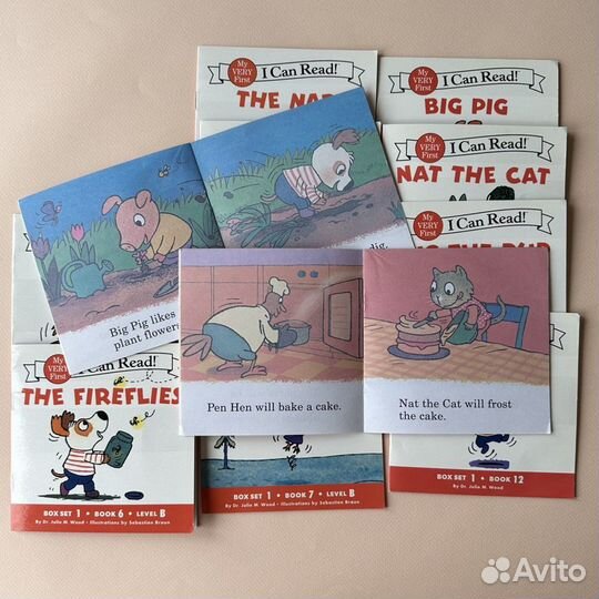 English books I can read I Big Pig I box 1