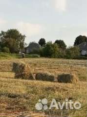 Сено в тюках 2023 года