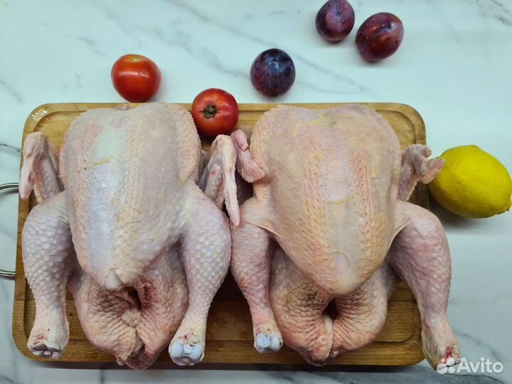 Продаю кур домашнего бройлера