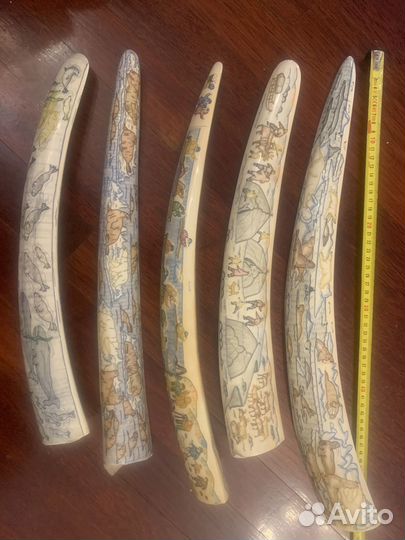 Клык моржа имитация