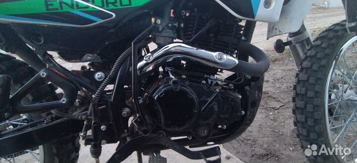 Racer Panther 250