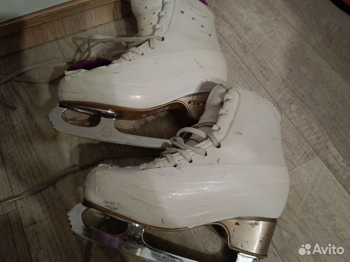 Фигурные коньки edea chorus 220