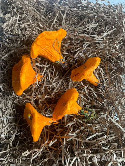 Грибы,ватная ёлочная игрушка