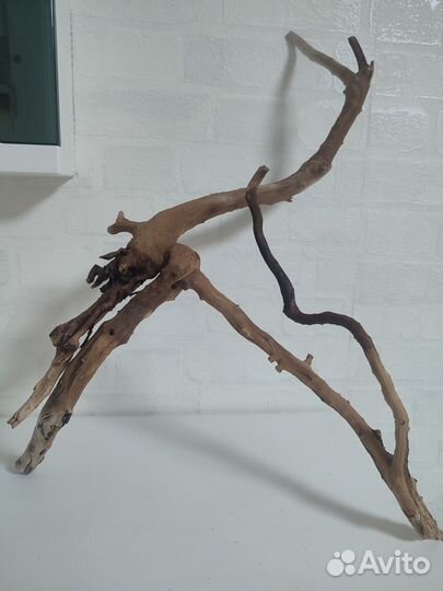 Коряги для аквариума