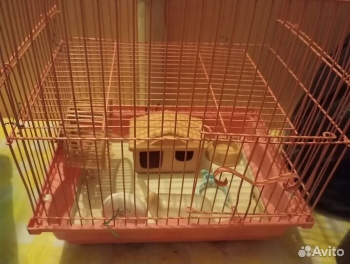 Клетка для грызунов с кормом и 2 упаковки опилок