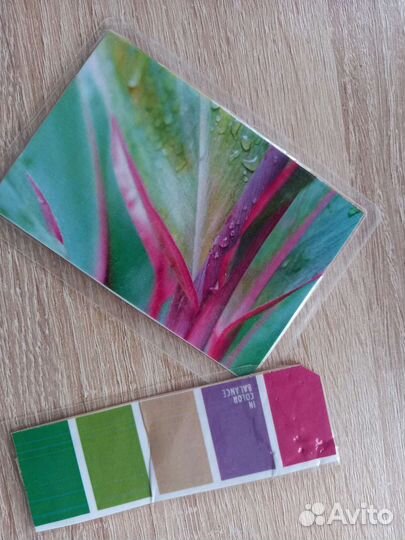 Карточки Цветы, изуч.цветов и их сочетаний