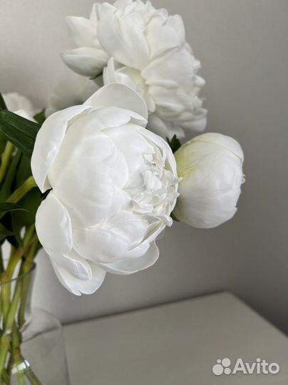 Букет цветов пионы