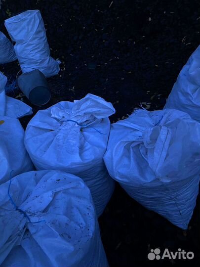 Сспк уголь для вашего дома