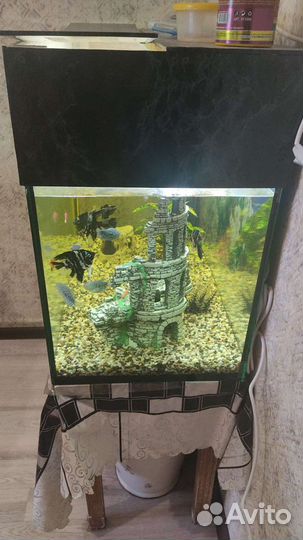 Аквариум