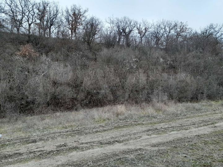 Участок 8 сот. (ИЖС)