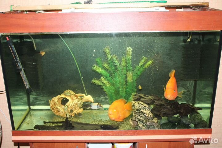 Продам аквариум