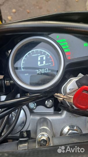 Regulmoto TE 300