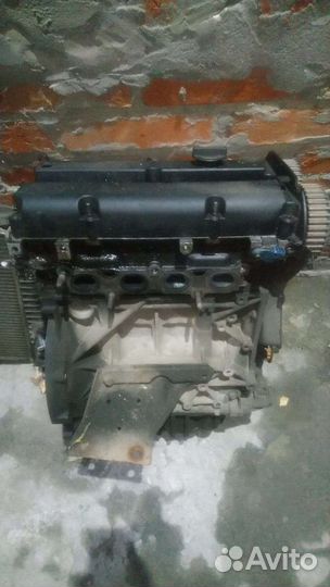 Двигатель ford focus 2 1.6 100 л с