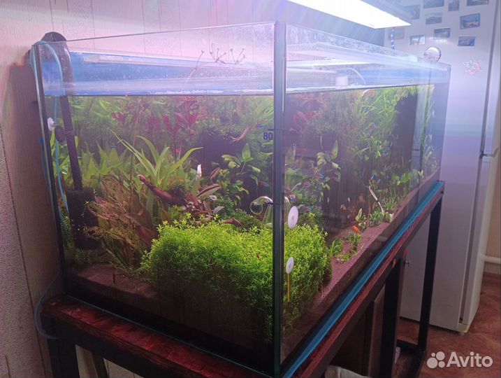 Аквариум