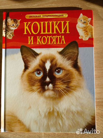 Детская энциклопедия