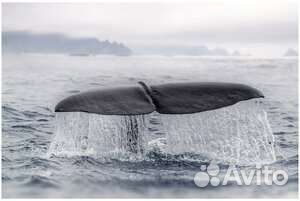 Картины Икеа 10