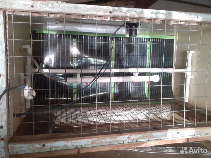 Брудер для бройлеров