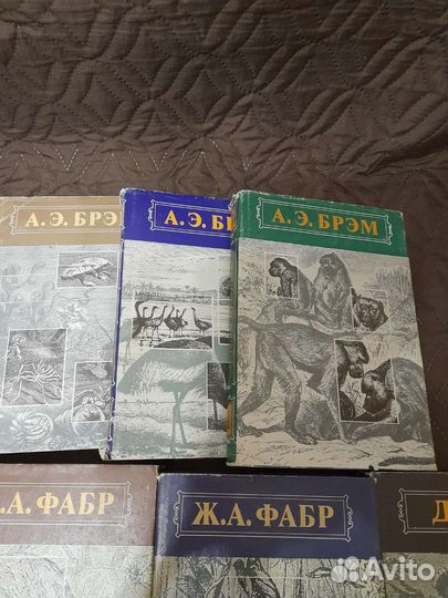 Жизнь животных в трёх томах (Брем) и детская литер