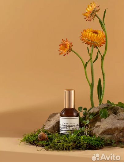 Фон для фото