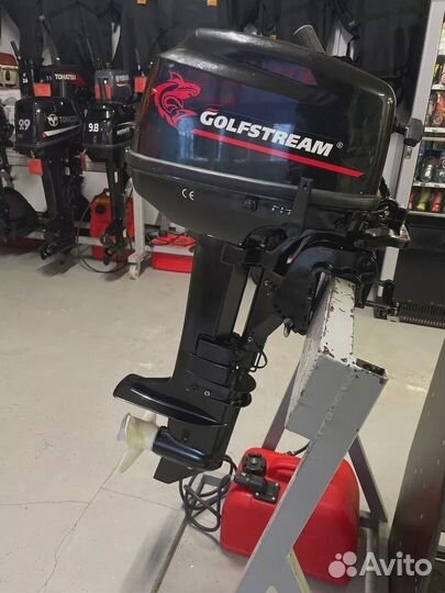 Лодочный мотор Golfstream T 9.8 BM витрина