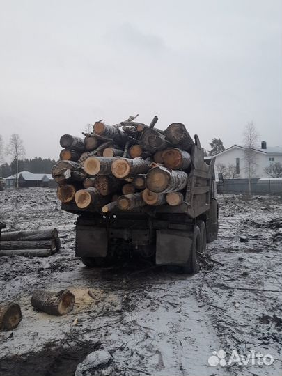 Дрова