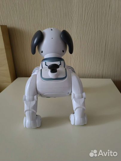 Собака робот
