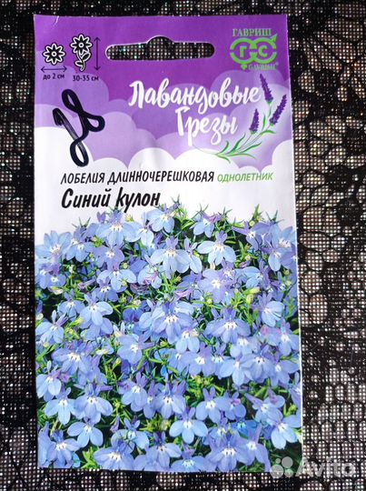 Цветы однолетнии