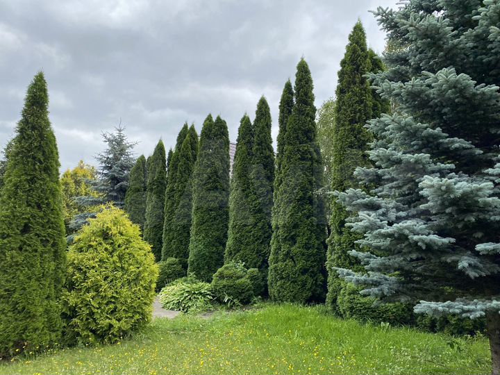 Дача 140 м² на участке 15,2 сот.