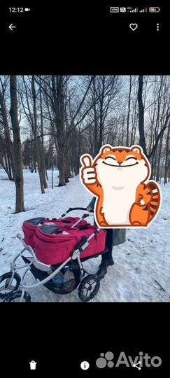Коляска для двойни Bumbleride