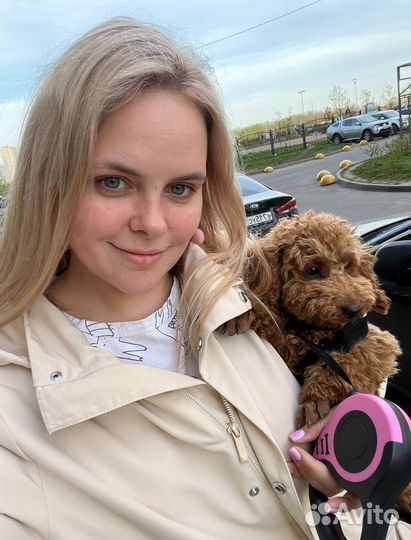 Выгул /Приходящая зооняня для питомцев/ Передержка