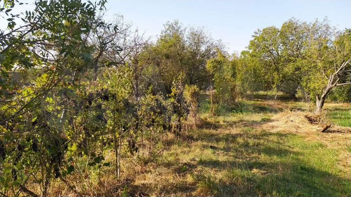 Участок 8 сот. (СНТ, ДНП)